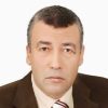 Novelists_Pict-S-_أحمد-طوسون